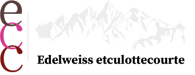 Edelweiss & culottecourte